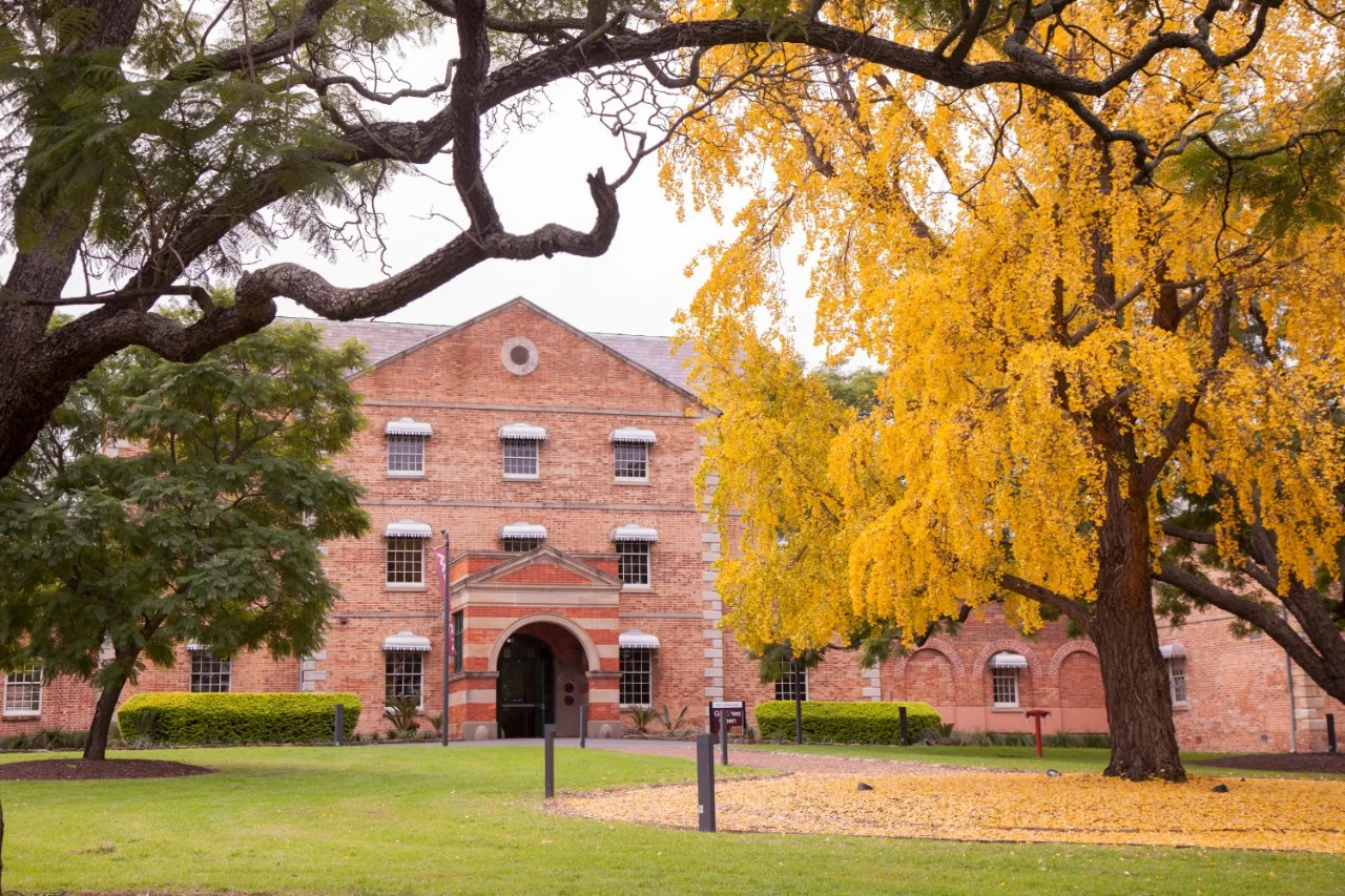 students sitting at campus