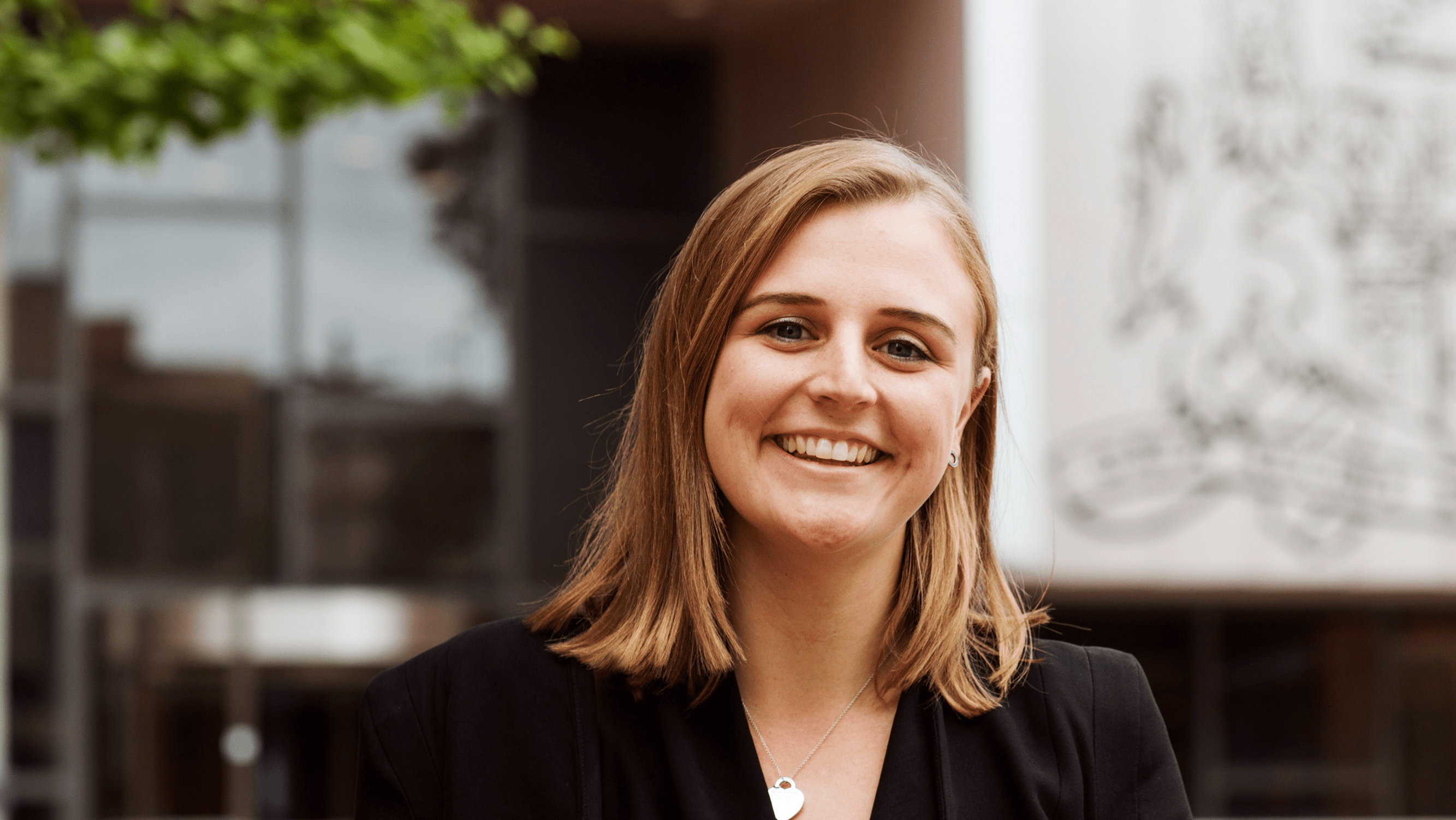 School of Law,School of Law