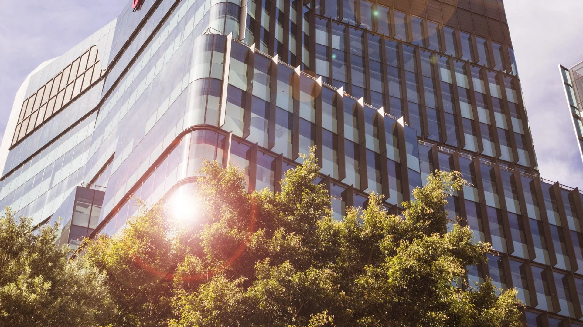 Western Sydney University Hassall St Parramatta campus glass windows