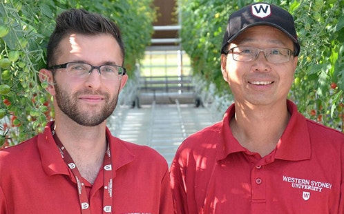 Goran and Wei working within Greenhouse RETF