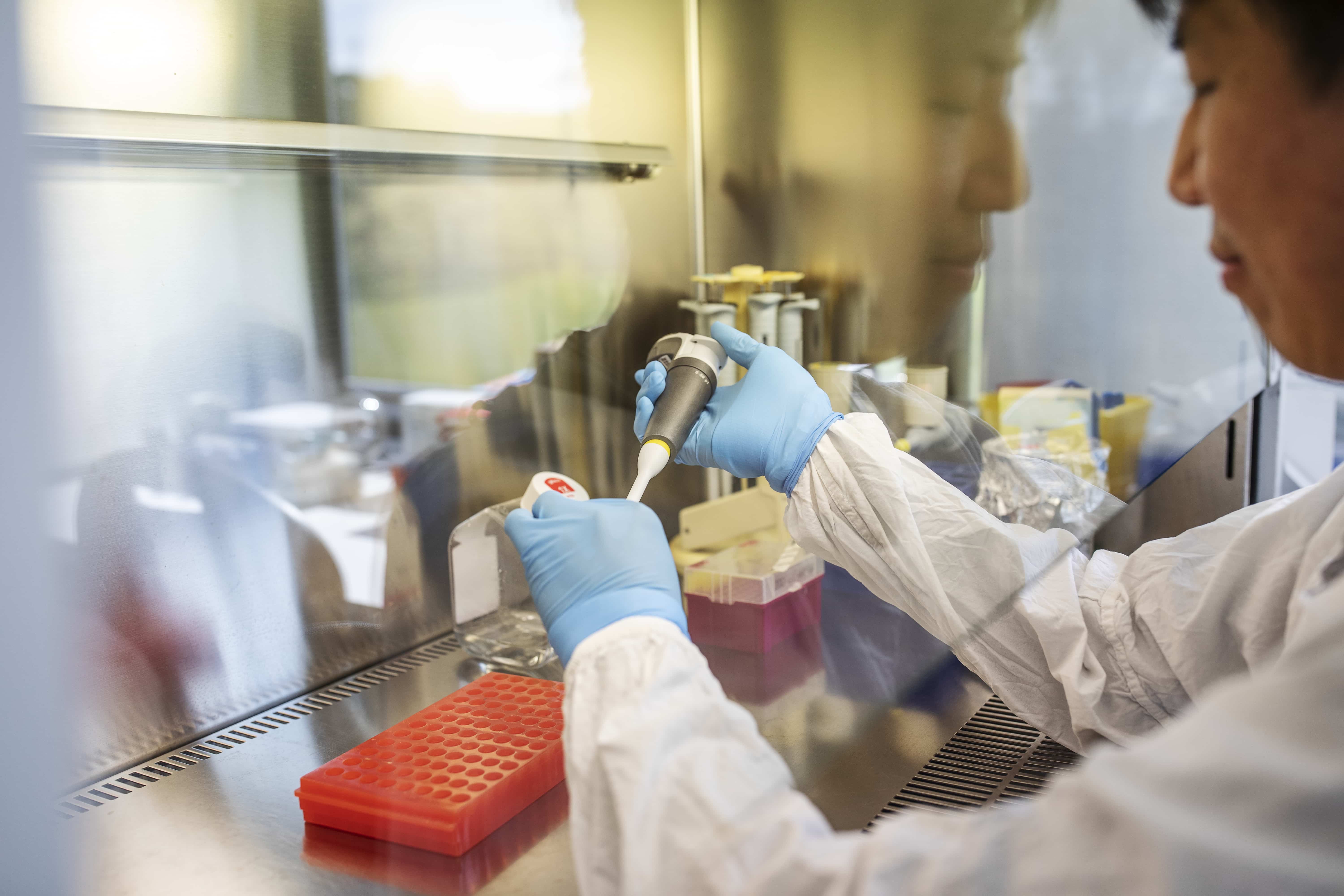 Bachelor of Clinical Science