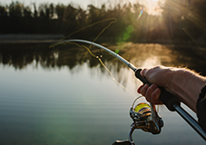 Fishing rod with line in water