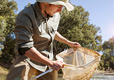 Photo of citizen scientist looking taking water bug sample from river