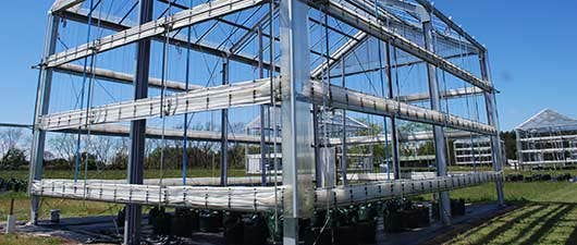 The Large Rainout Shelters enable us to contrrol the watering and drying of large trees either in pots or in the ground