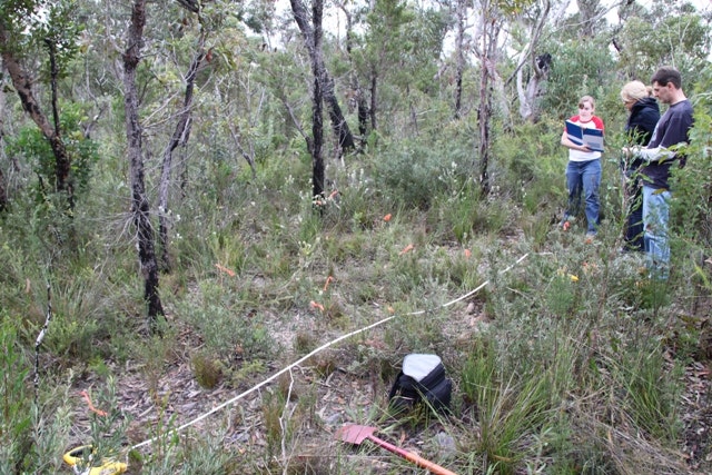 Brisbane Water National Park