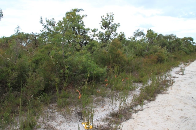 Bundjalung National Park