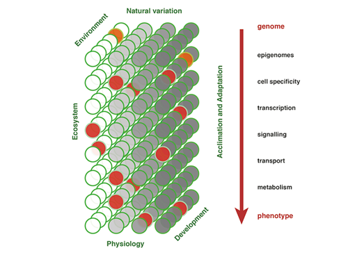 Value-adding-in-plants