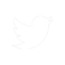 Twitter Icon White Transparent #176648 ...