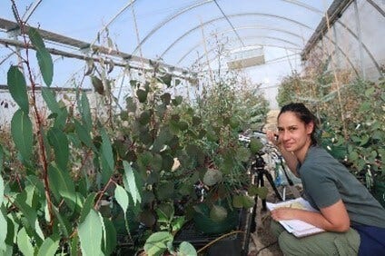 Victoria Martinez Perez