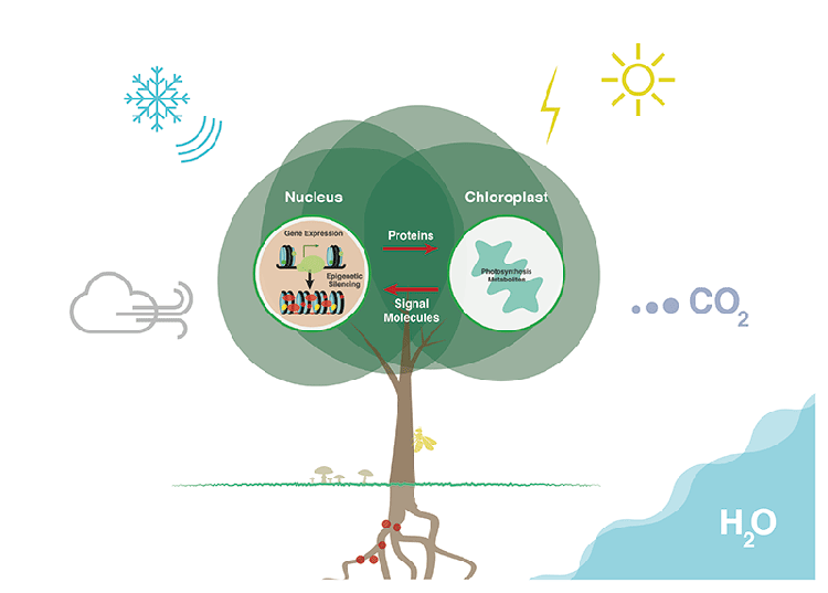 Environmental Epigenetic Laboratory Overview