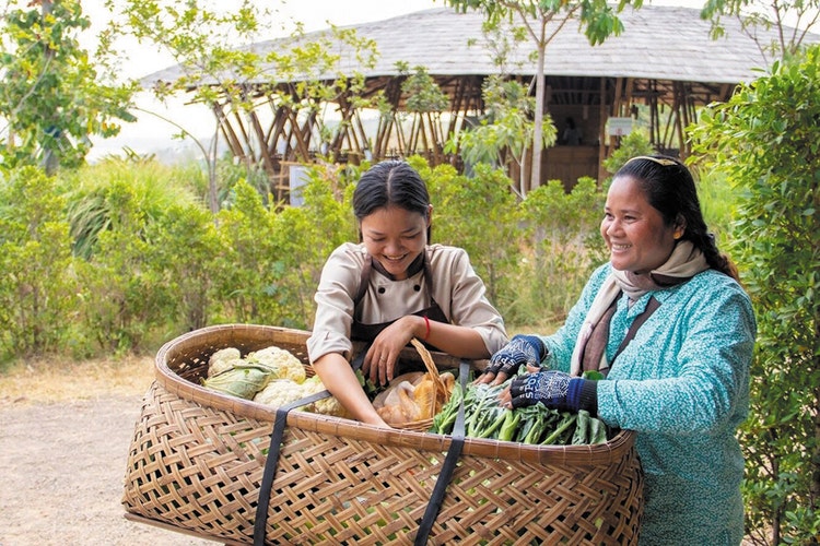 Local suppliers using reusable bamboo baskets to bring produce to the Hanchey Bamboo Resort has helped to reduce waste.