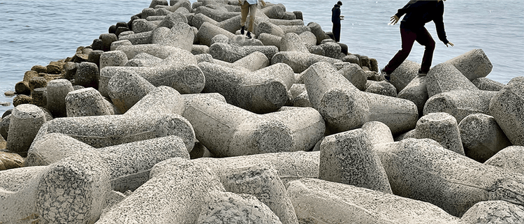 Environment and Technology Cover Image