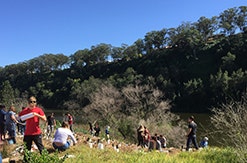 Education for Sustainability