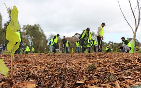 Muslims for environment